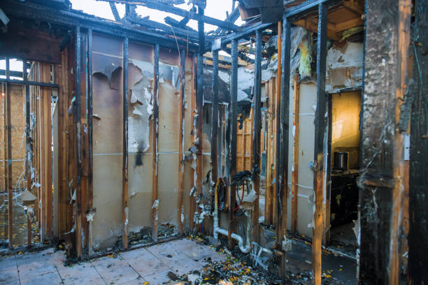 Professional Fire Damage Removal technician working in Unicoi, TN